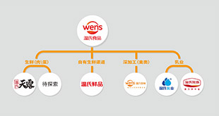 J9直营集团食物品牌架构